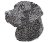Black Lab