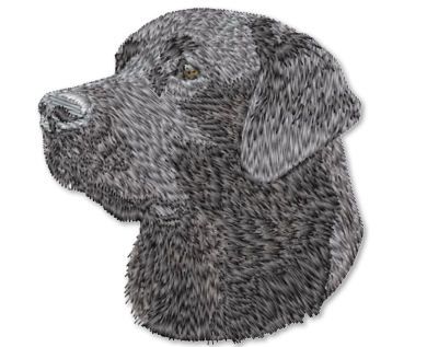 Black Lab