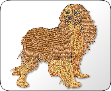 Cocker Spaniel